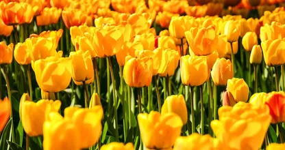Yes! Heerlijk lenteweer tijdens paasweekend