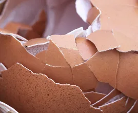 Ποτέ δεν θα πετάξετε ξανά τα τσόφλια των αυγών αφού διαβάσετε αυτό!