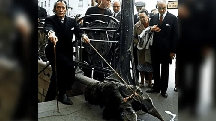 Des chimpanzés aux fourmiliers - Le monde excentrique des animaux de compagnie des célébrités