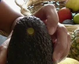 Wie du mit einem Handgriff ganz einfach testen kannst ob die Avokado lecker sein wird oder nicht