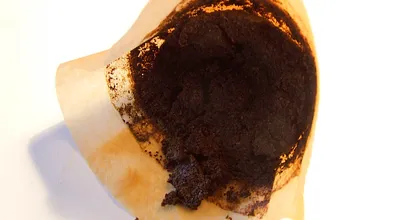 Schmeißt du Kaffeesatz immer in den Mülleimer? Dabei kannst du so viel damit anstellen!
