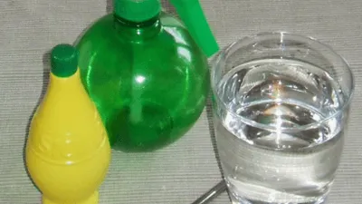 Aaah spinnen in huis! Geen zorgen, met deze tips krijg je ze weg!