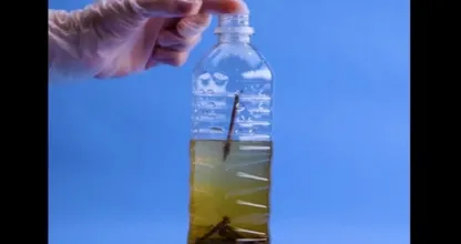 Placez des clous rouillés dans une bouteille en plastique et vous verrez ce que vous pouvez faire