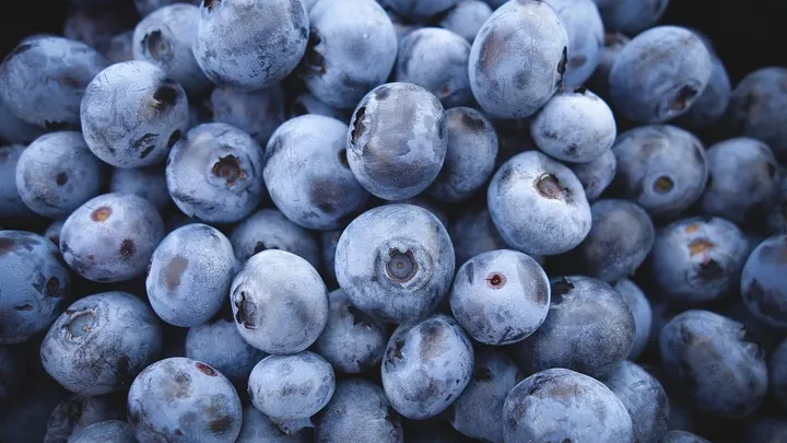 Voici 4 raisons pour lesquelles vous devriez manger des myrtilles tous les jours !