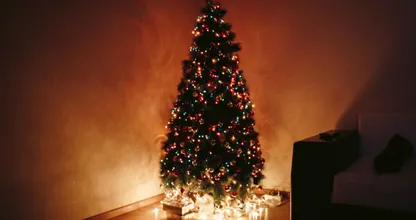 Dit is het beste moment om een kerstboom te kopen!