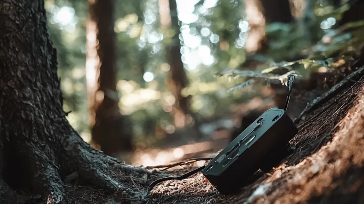 Ein Mann folgt einem verletzten Elch im Wald - was er dann entdeckt, stellt sein Leben auf den Kopf!