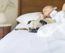 Waarom je 's nachts wakker wordt en wat je dan juist niet moet doen