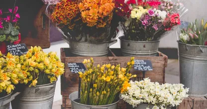 Pas op: deze voorjaarsbloemen kunnen levensgevaarlijk zijn voor je huisdier