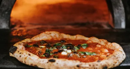 Hebben: draagbare pizza steenoven van de action