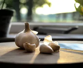 6 Gründe, jeden Tag Knoblauch zu essen