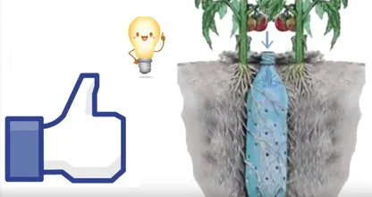 Ella usa botellas de plástico vacías en el jardín. ¡Solo mira estos geniales efectos!