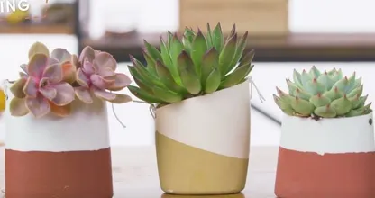 DIY: tover je plastic flessen om tot leuke bloempotten