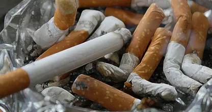 Europese experts: menthol in tabaksproducten moet verboden worden