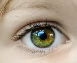 Trillend ooglid? Het zou door deze 6 dingen kunnen komen