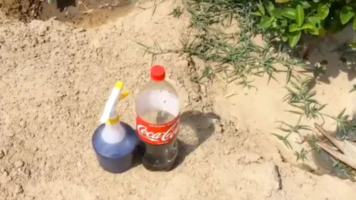 Ne jetez pas le coca sans bulle, utilisez-le dans votre jardin