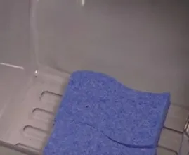 Mette una spugna nel frigorifero e il motivo ti sorprenderà