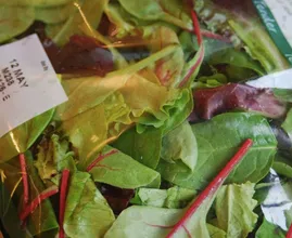 Avez-vous acheté de la laitue en sachet au supermarché ? Alors vous devez lire ça…