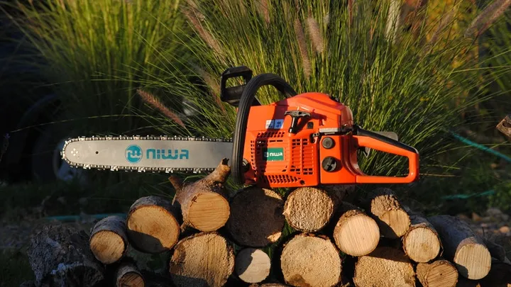 Holzfäller finden seltsame Kreatur in hohlem Baum