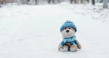 In dit deel van Nederland kan er vandaag tot 15 centimeter sneeuw vallen