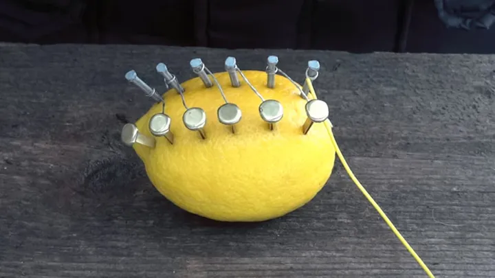 ¡Clava unos clavos en un limón y ve qué pasa después!