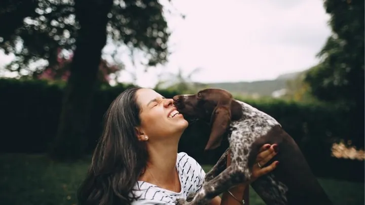 Speeksel van hond is levensgevaarlijk: 'Soms zelfs amputaties nodig'