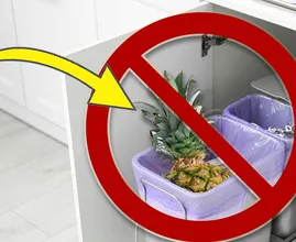 Why You Should Stop Throwing Away The Top Leaves Of Your Pineapples
