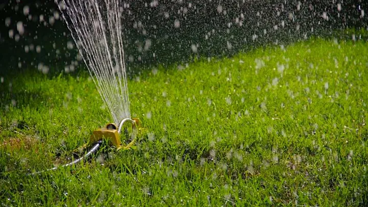 Dit is de gouden regel om een stralend groen gazon te houden