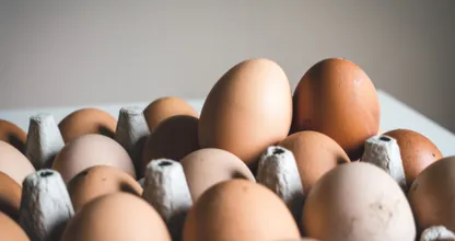 Averigua: ¿cómo saber si tus huevos se han echado a perder?