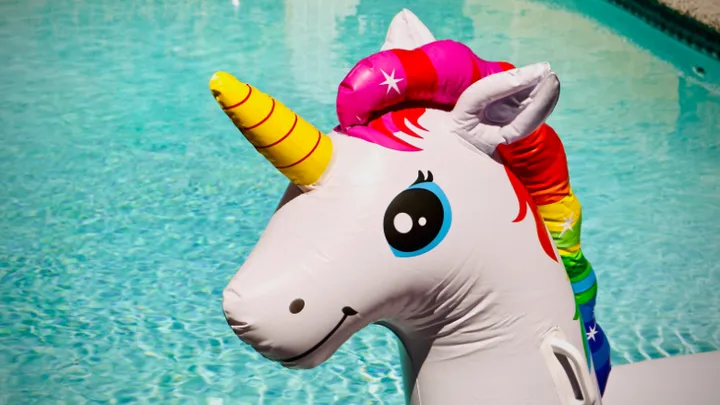 Le rêve devient réalité : une fillette de 7 ans obtient un "permis licorne"