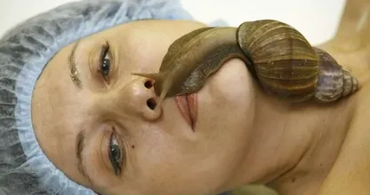 Wordt de Afrikaanse reuzenslak ons nieuwe huisdier en beauty-vriend? Best gezellig en nog ergens goed voor ook!