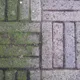 ¿Eliminar manchas verdes de los azulejos del patio? Con este truco, es muy sencillo! ¡Realmente debes probar esto!