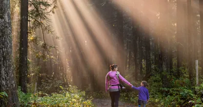 This is why you should go for a walk after every meal
