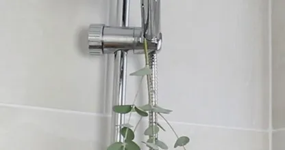 Das ist der Grund warum sich jetzt jeder Eukalyptus in die Dusche hängt