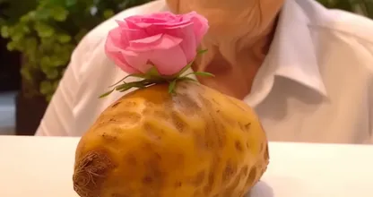 Unbelievable! An 85-Year-Old Woman Discovers a Simple Trick to Grow Beautiful Flowers