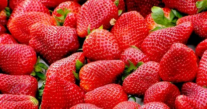 Zomerfruit: dít zijn de gezondheidsvoordelen van aardbeien