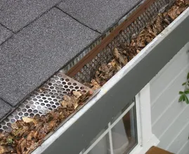 Cleaning the gutter? You can do it yourself with THESE handy tricks!