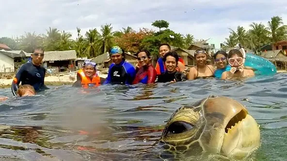 Hilarisch: deze dieren willen wel héél graag op de foto... Vooral bij #5 lachen wij dubbel!