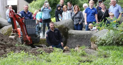 OEPS! Burgers' Zoo moet echt even goed oppassen met deze kleine Houdini's. Haha!