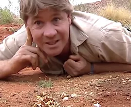 Dit is hoe het nu gaat met de familie van Steve Irwin