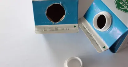 Hast du eine leere Saft- oder Milchpackung bei dir rumliegen? Nicht wegschmeißen! Das kannst du damit alles machen.