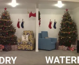 This is why it's vital to always water your Christmas tree