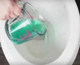 Ze giet mondwater in het toilet en het resultaat is fantastisch!