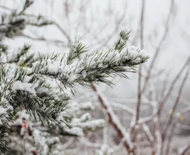 Winter op komst: eerste landelijke strooiactie en lagere temperaturen
