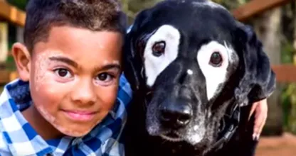 Gehänselter Junge lernt einen Hund mit der gleichen Hautkrankheit kennen