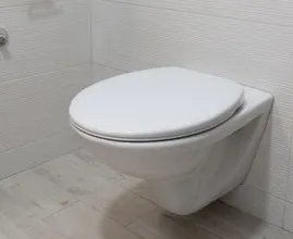 Waarom je het toilet altijd moet doorspoelen als je terugkomt van vakantie