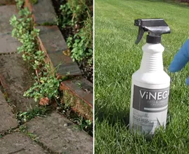 Struggle With Weeds? Fire Away With This DIY Weed Remover!