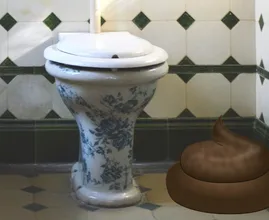 Een grote boodschap doen: hoe vaak is eigenlijk normaal?
