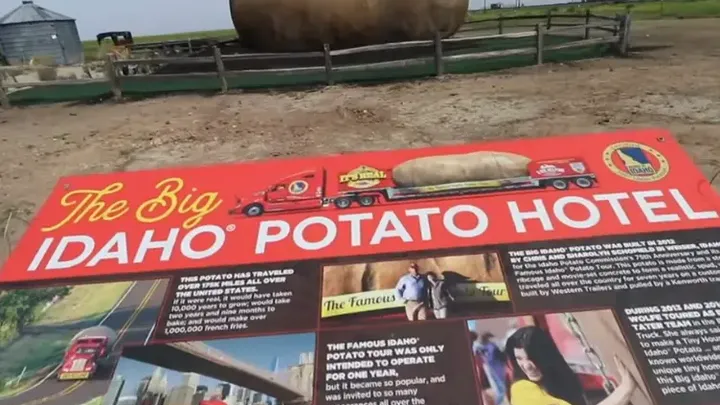 Nie uwierzysz, co kryje się w tym gigantycznym ziemniaku - To nie to, co myślisz!