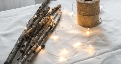 Van slechts een paar oude takken maakt ze de mooiste kerstdecoratie van het jaar! Dit is zo makkelijk!