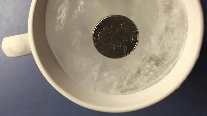 É por isso que você deve sempre colocar uma moeda no freezer antes de sair de férias!